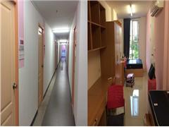 ѧԺ2013����ó������רҵѧ��˳����̩��������ѧѧϰ